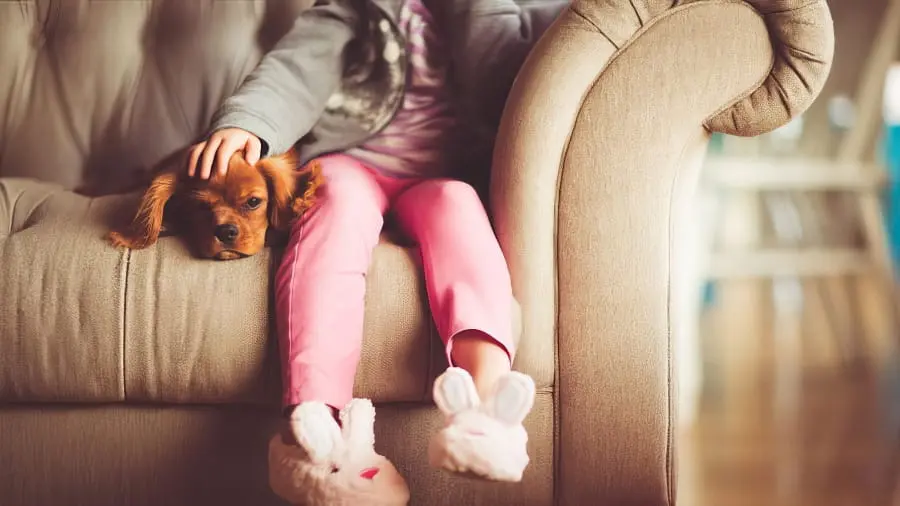 Trouver une baby sitter en Suisse romande