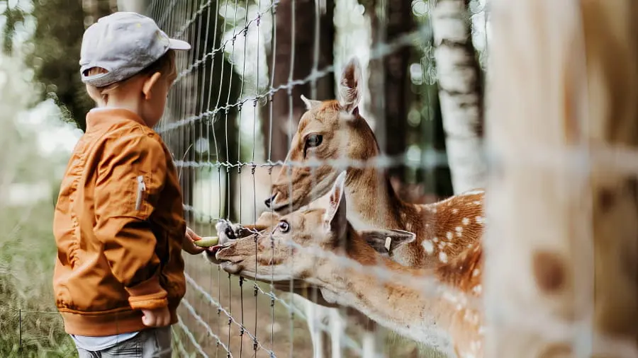 Zoos et parcs animaliers en Suisse romande